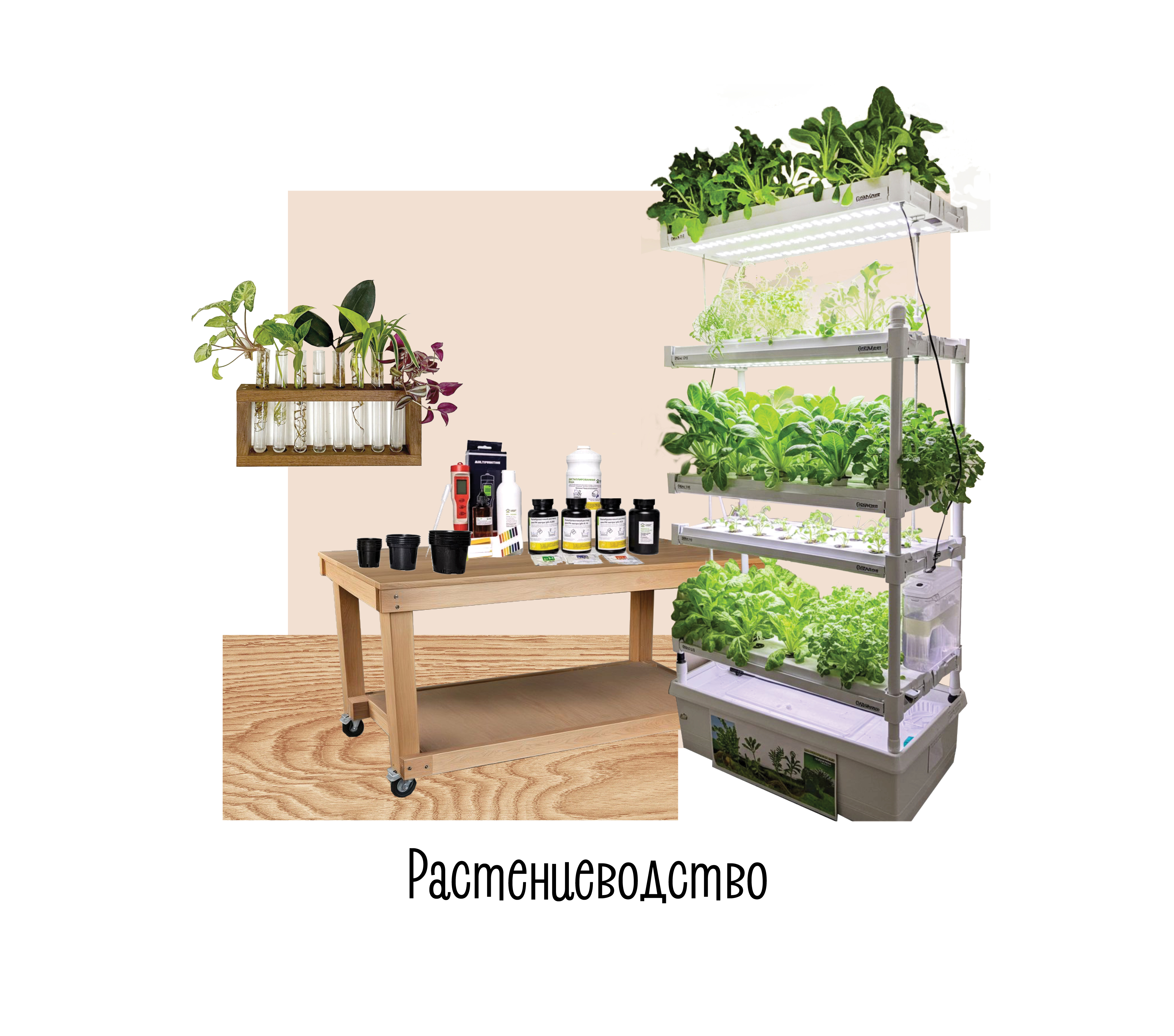 Растениеводство